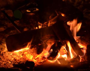 post-1735-0-57779000-1390155750_thumb.jp