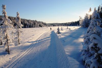 post-4016-0-17688000-1389546742_thumb.jp