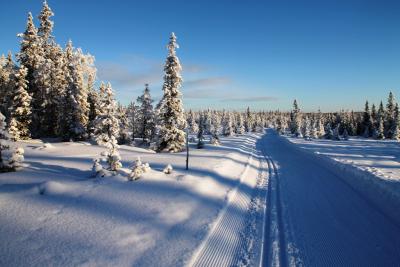 post-4016-0-25190300-1389546733_thumb.jp