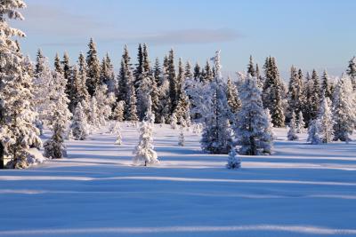 post-4016-0-28820400-1389546743_thumb.jp