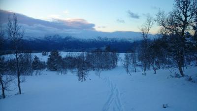 post-5264-0-16545600-1389466325_thumb.jp