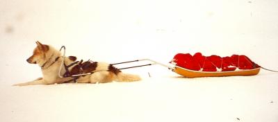 post-7299-0-00619300-1390248521_thumb.jp