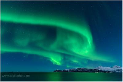 post-8333-0-26130000-1389485211_thumb.jp