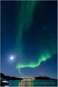 post-8333-0-81232700-1389485220_thumb.jp