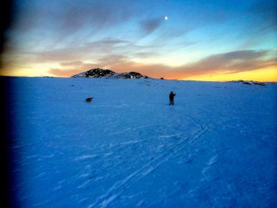 post-11141-0-07158100-1420384875_thumb.j