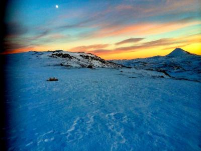 post-11141-0-11362400-1420384525_thumb.j