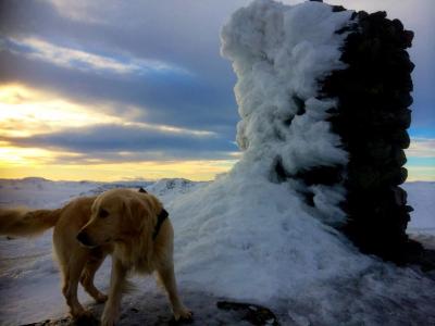 post-11141-0-64211500-1420384705_thumb.j