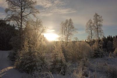 post-12580-0-16853900-1420830871_thumb.j