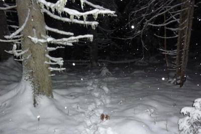 post-12580-0-17565000-1420929846_thumb.j