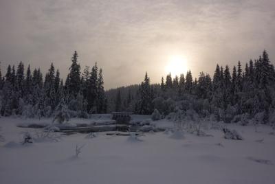 post-12580-0-26652600-1422730630_thumb.j