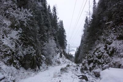 post-12580-0-39523000-1420830461_thumb.j