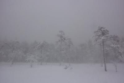 post-12580-0-48498600-1422134144_thumb.j