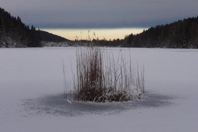 post-12580-0-85144000-1420829130_thumb.j