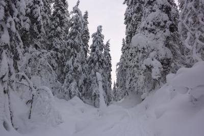 post-12580-0-89499500-1422730635_thumb.j