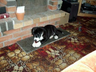 post-12931-0-47630200-1421334903_thumb.j