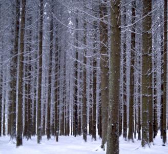 post-13572-0-73436900-1420914654_thumb.j