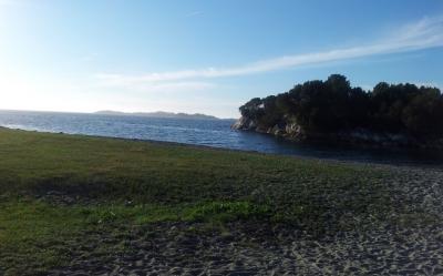 post-13618-0-60409800-1422019732_thumb.j