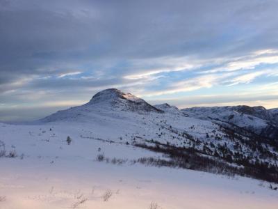 post-3450-0-25652700-1421866198_thumb.jp