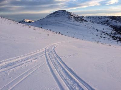 post-3450-0-62480500-1421866292_thumb.jp