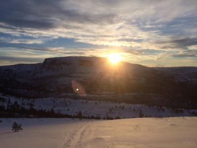 post-3450-0-66745700-1421866228_thumb.jp