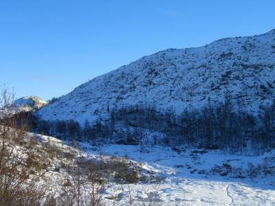 post-4220-0-28328400-1422010429_thumb.jp