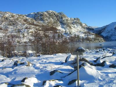 post-4220-0-37626100-1422011810_thumb.jp