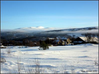 post-4444-0-89863700-1421608581_thumb.jp