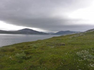 post-6054-0-41964000-1422393185_thumb.jp