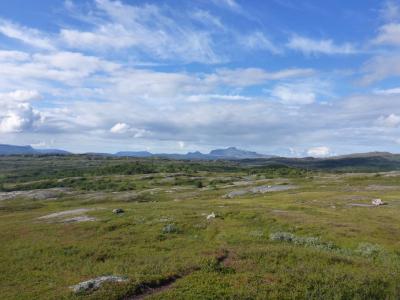 post-6054-0-79647200-1422393213_thumb.jp