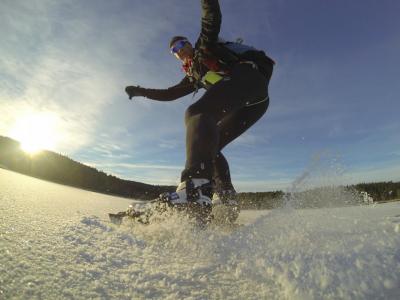 post-8462-0-99155300-1421600814_thumb.jp