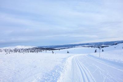 post-9055-0-00622300-1421612941_thumb.jp