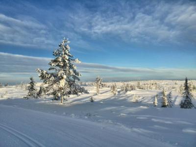 post-9055-0-07840500-1422307040_thumb.jp