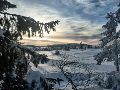 post-9055-0-08027100-1422307053_thumb.jp