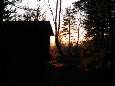 post-9055-0-14136100-1420923216_thumb.jp