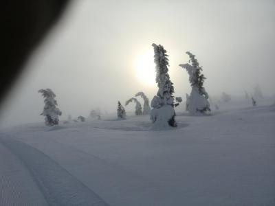 post-9055-0-14258600-1422572894_thumb.jp