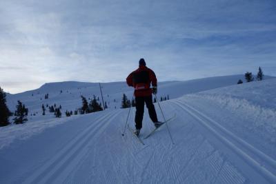 post-9055-0-15385800-1421612930_thumb.jp