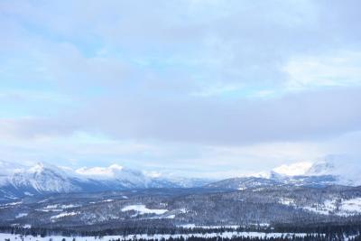 post-9055-0-16268500-1421612962_thumb.jp