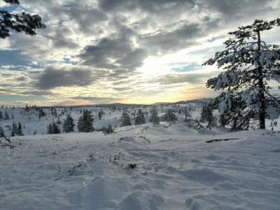 post-9055-0-16640200-1422307105_thumb.jp