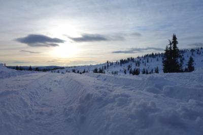 post-9055-0-29966300-1421612917_thumb.jp