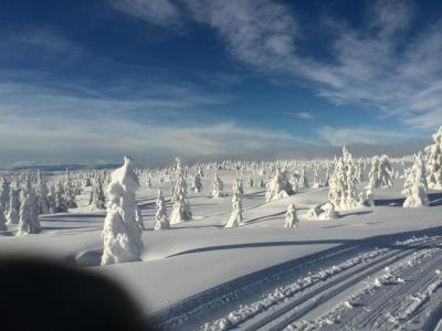 post-9055-0-37769700-1422572881_thumb.jp