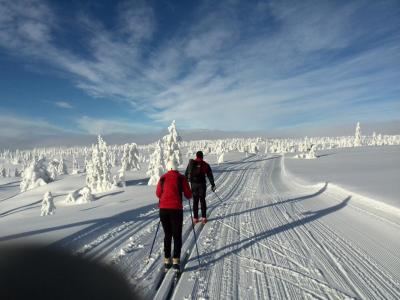 post-9055-0-38108300-1422572888_thumb.jp