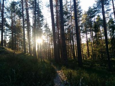 post-9055-0-46209400-1420923212_thumb.jp