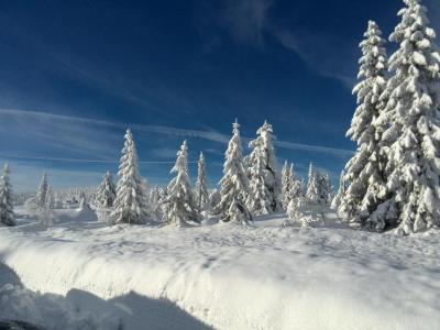 post-9055-0-52552300-1422572867_thumb.jp