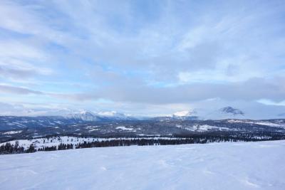 post-9055-0-55899500-1421612951_thumb.jp