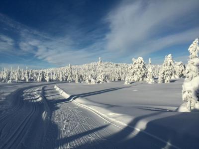 post-9055-0-62271900-1422572874_thumb.jp