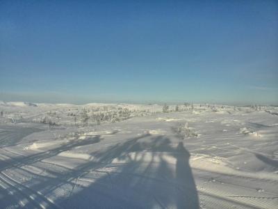 post-9055-0-85671900-1422307084_thumb.jp