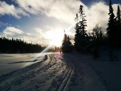 post-9055-0-96068200-1420923226_thumb.jp