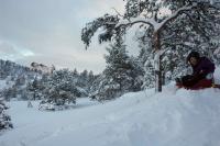 post-10401-0-43471700-1359826411_thumb.j