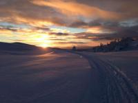 post-11826-0-73900900-1361546517_thumb.j