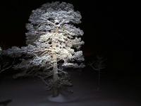 post-11961-0-93743100-1361223658_thumb.j